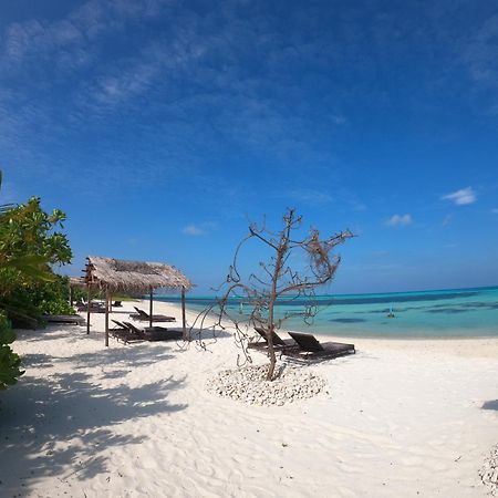 Shamar Guesthouse & Dive Maamigili Exteriör bild