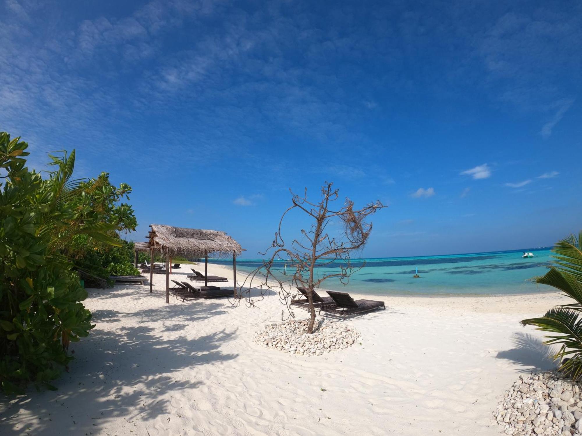 Shamar Guesthouse & Dive Maamigili Exteriör bild
